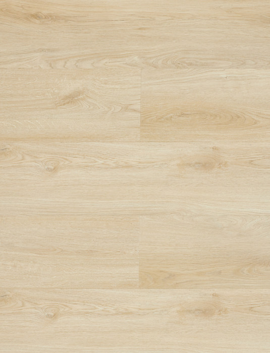 SPC Ламинат Primavera Ferrara, F1835 Siglo