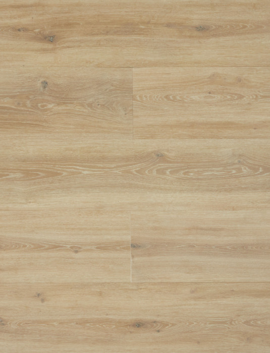 SPC Ламинат Primavera Torino, T1806 Sombrero