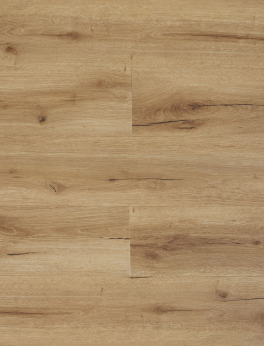 SPC Ламинат Primavera Torino, T1808 Atar