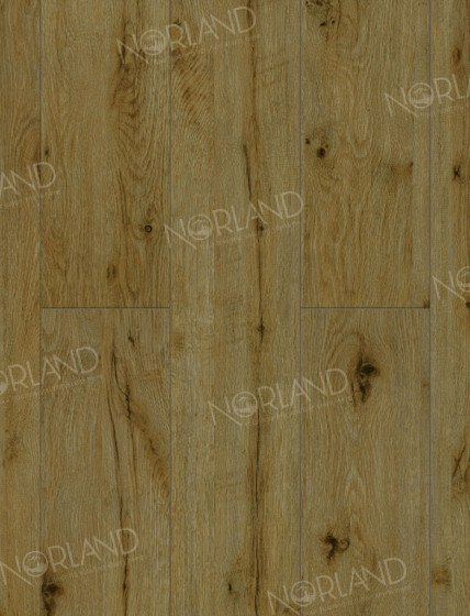 Ламинат 34 класса Alpine floor Elegant Strong LF302-14 Дуб Скай